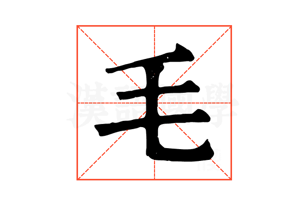 毛